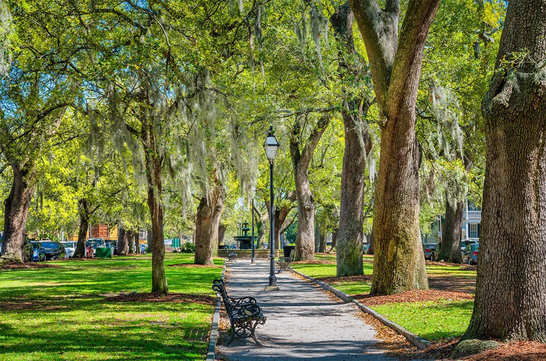 Wragg Mall Park with old oak trees and Spanish moss in downtown Charleston, South Carolina, USA.